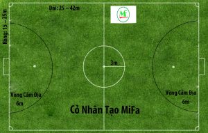 Kích thước sân bóng đá 5 người theo tiêu chuẩn FIFA